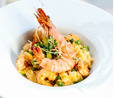 Shrimp Specialties